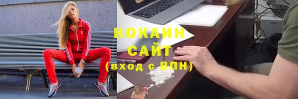 спайс Богданович